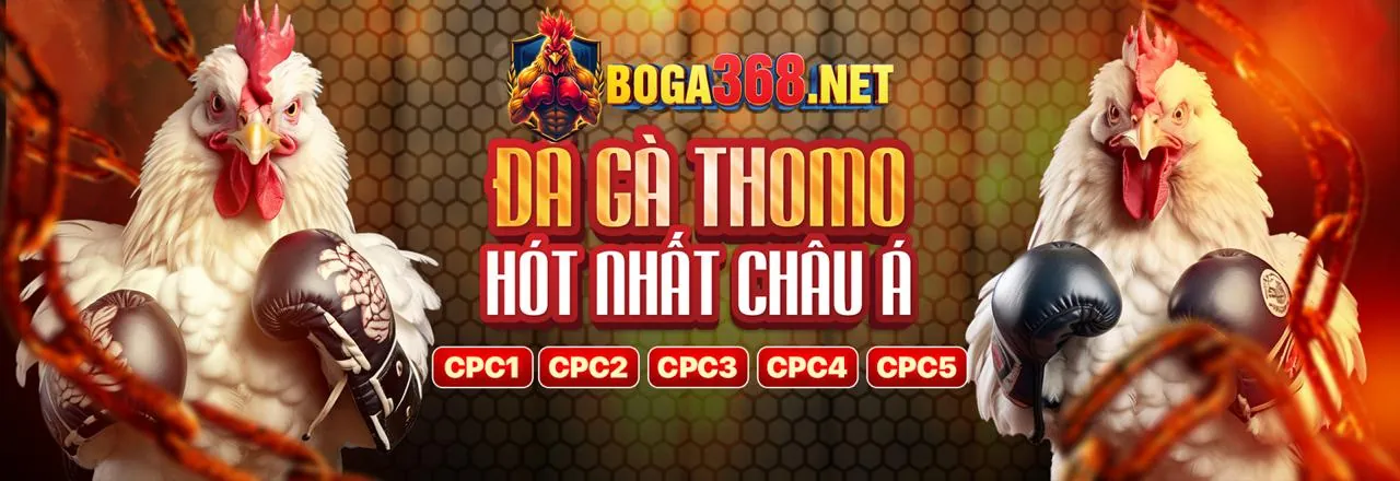 Đá gà hello88 kim - Trận đấu kịch tính
